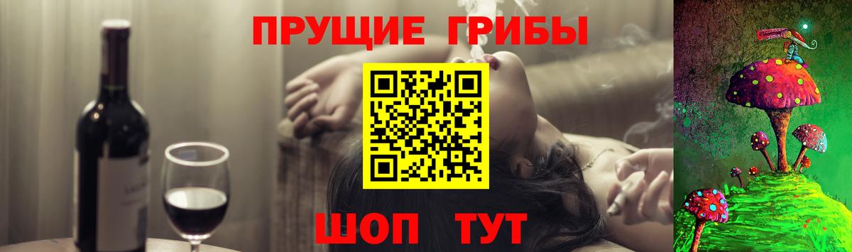 Галлюциногенные грибы Psilocybine cubensis Богородицк